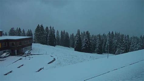 flumserberg tannenboden webcam|Webcams in Flumserberg